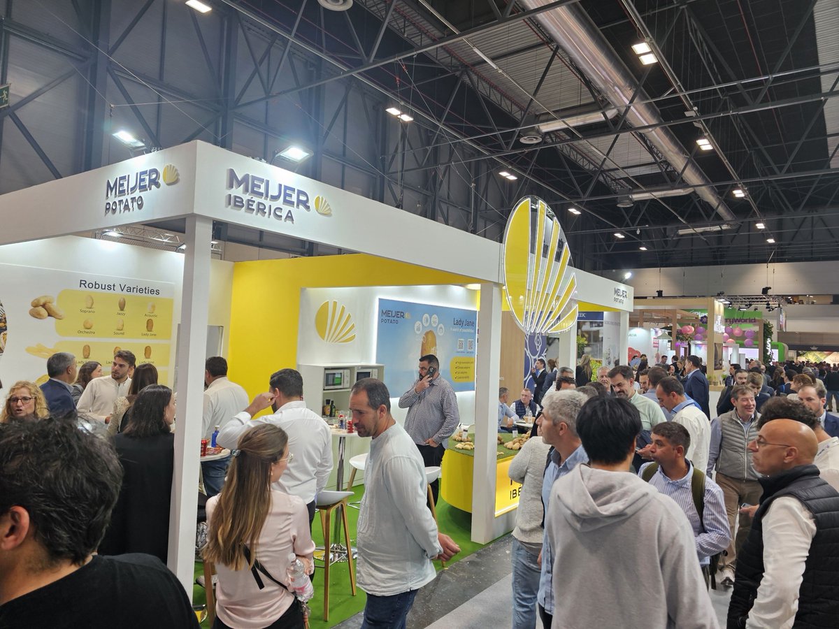 MeijerPotato's tweet photo. Fruit Attraction 2024: three busy, successful and enjoyable days for the Meijer group. Thank you all for joining us! 

#meijerpotato #buildingonpotential #fruitattraction2024 #potato #potatoes #exhibition https://t.co/jZVnVVRPyh