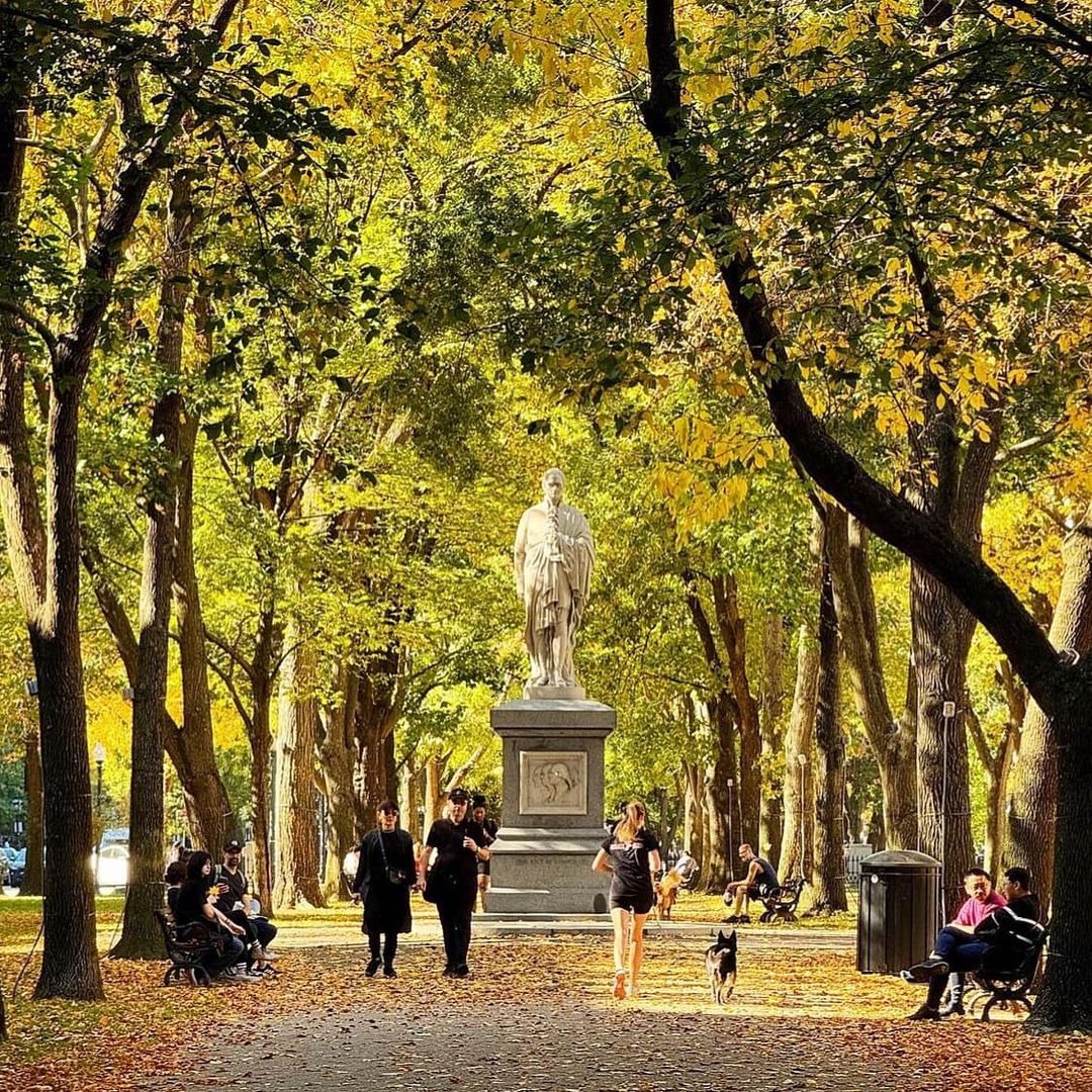 conventures (@conventures) on Twitter photo The Mall is perfect for a group stroll, and can be easily added to your Boston trip itinerary. We applaud <a href="/FOPG/">Friends of the Public Garden</a> for its ongoing stewardship of this park, and we'll see it this Saturday at the <a href="/Bos10KforWomen/">Boston 10K for Women</a>, which runs along Commonwealth Avenue!
#destinationoftheweek
📷: FOPG The Mall is perfect for a group stroll, and can be easily added to your Boston trip itinerary. We applaud <a href="/FOPG/">Friends of the Public Garden</a> for its ongoing stewardship of this park, and we'll see it this Saturday at the <a href="/Bos10KforWomen/">Boston 10K for Women</a>, which runs along Commonwealth Avenue!
#destinationoftheweek
📷: FOPG