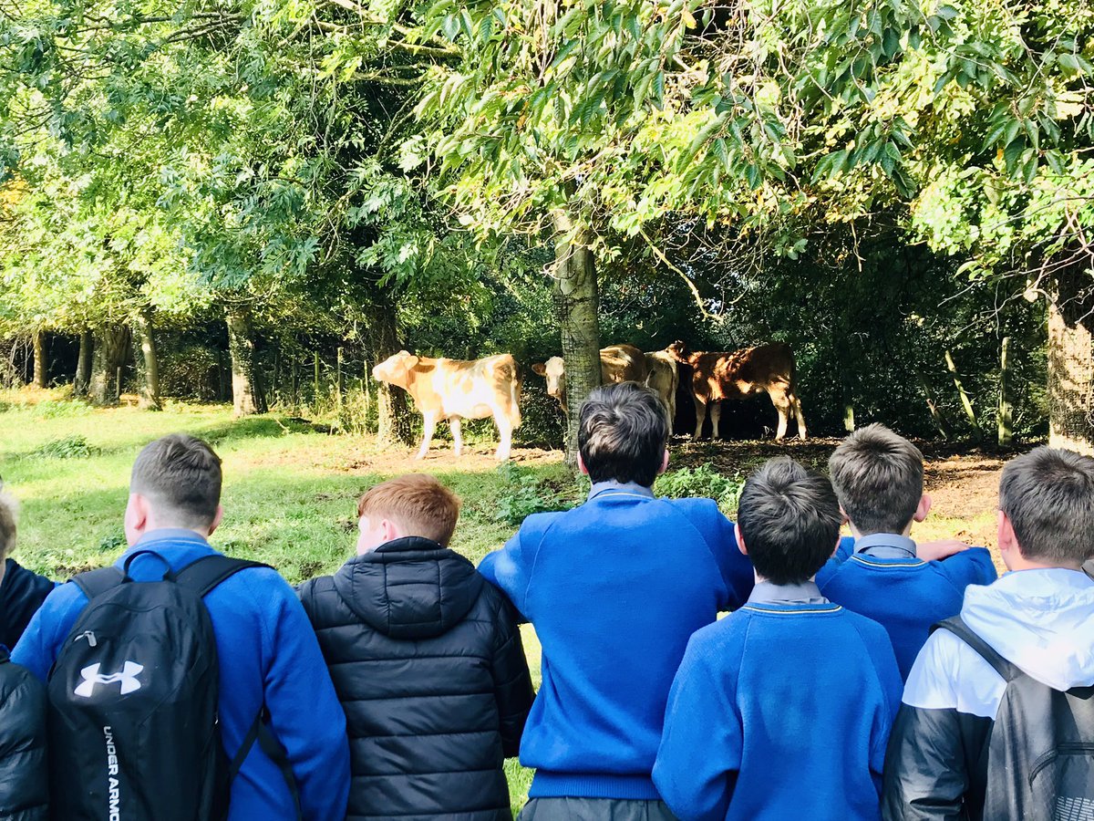 moylepark's tweet photo. Break time in Clondalkin. 🌞 https://t.co/hHUoyZXANq