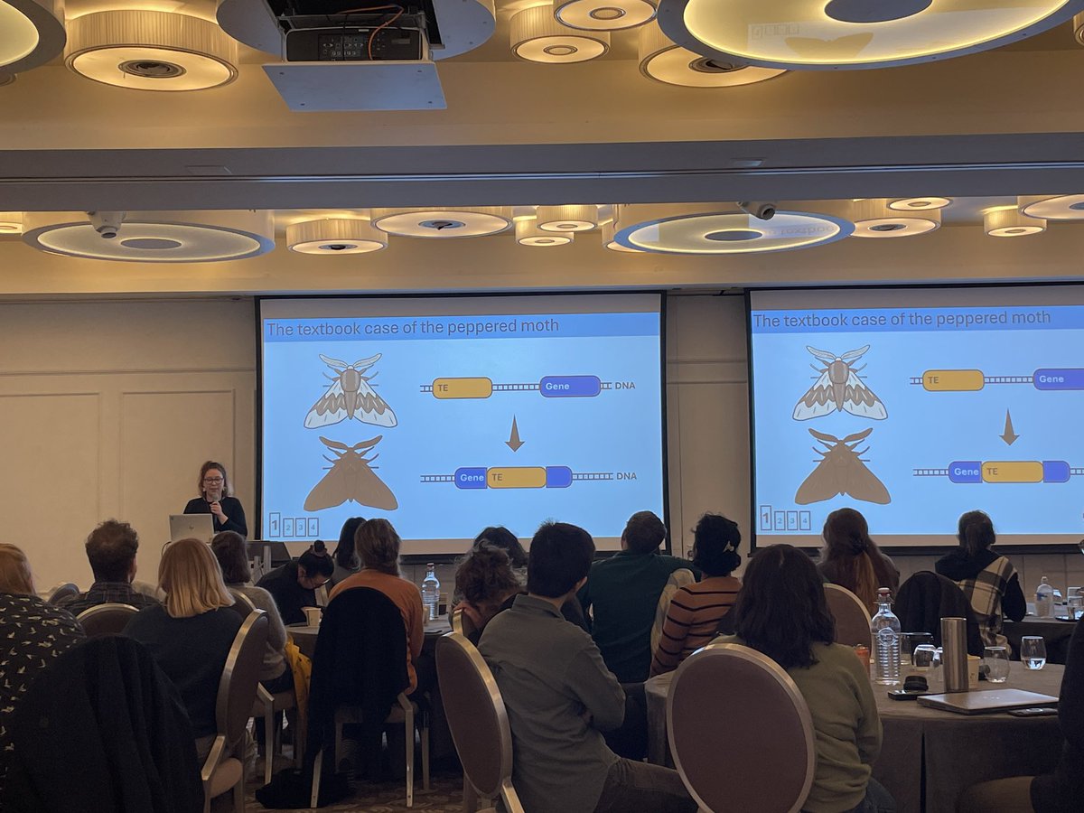 QUADRAT (@quadratdtp) on Twitter photo An outstanding end to our #ASM2024 with talks from Jyothi Basapathi, Gosse Bootsma <a href="/TillySScott/">Tilly (Matilda) S Scott</a> An outstanding end to our #ASM2024 with talks from Jyothi Basapathi, Gosse Bootsma <a href="/TillySScott/">Tilly (Matilda) S Scott</a>