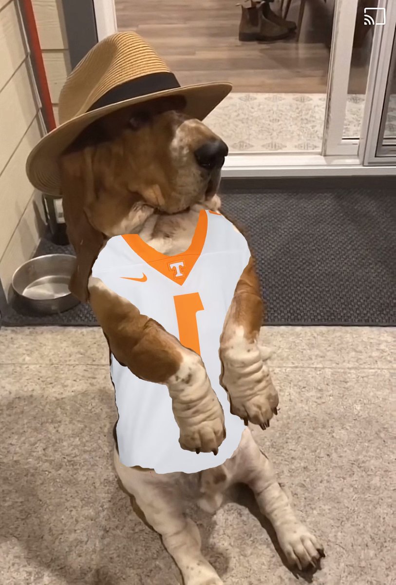 CheckerNeyland tweet media