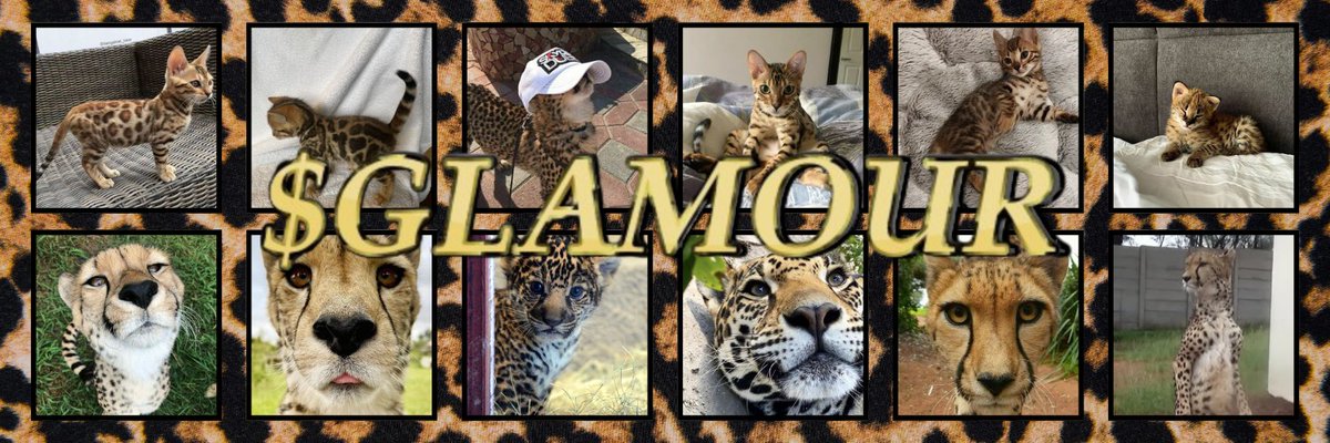 <a href="/xelf_sol/">Xelf</a> $GLAMOUR 

CA: 9qoDavRAmwS7Q7Aet41P3k8juLMihnycocNYuePDpump