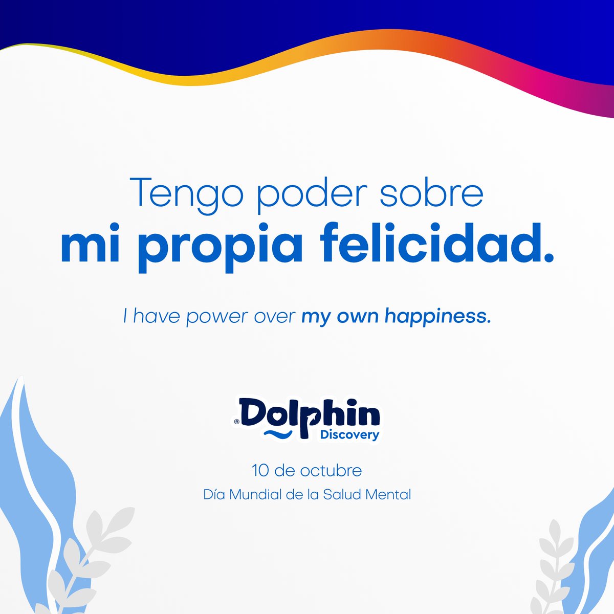 Dolphin Discovery tweet media