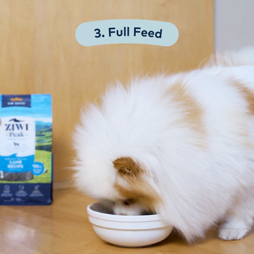 Our recipes can be super versatile to match your pet's lifestyle. What's your favorite way of using ZIWI Air-dried recipes? Comment below!