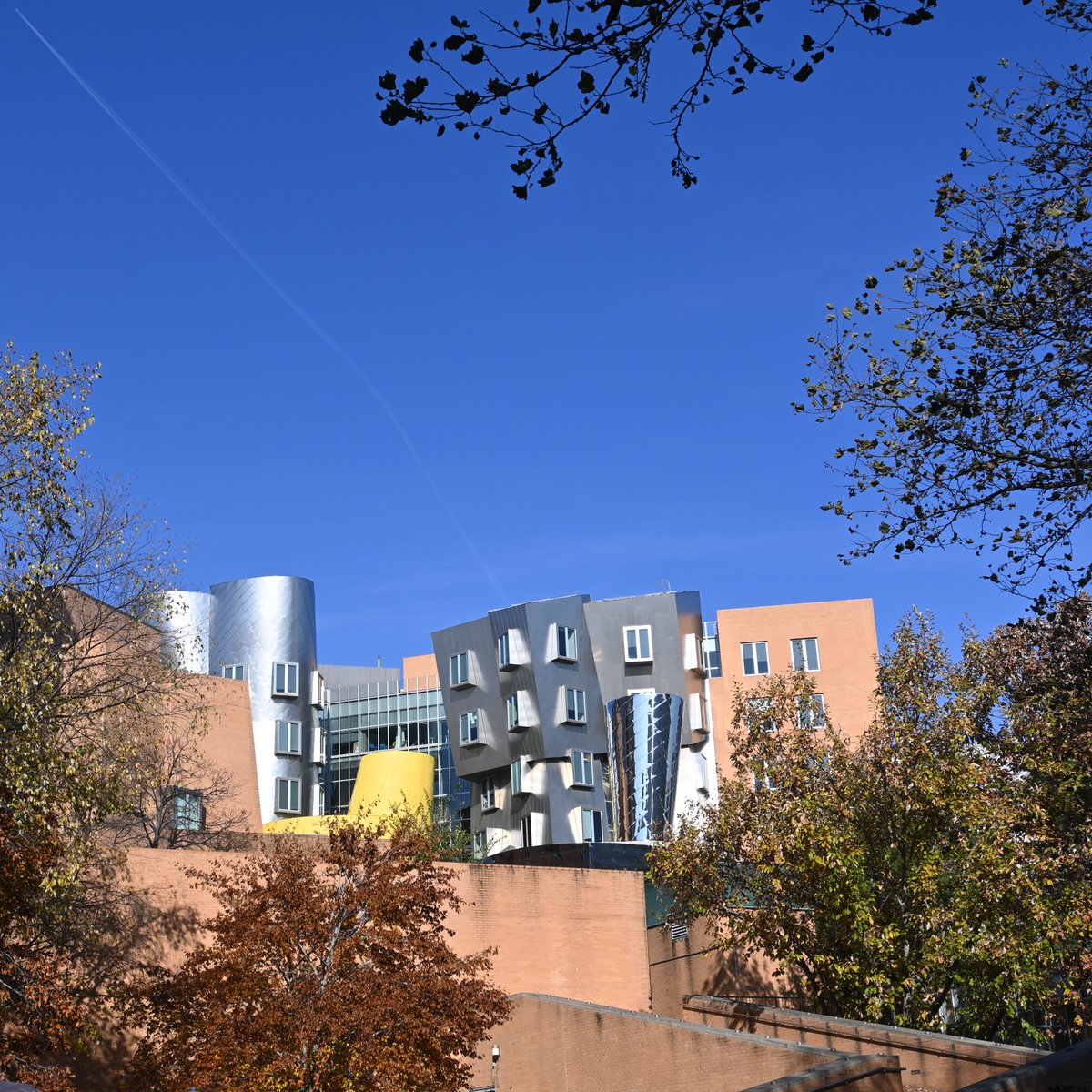 MIT Students tweet media