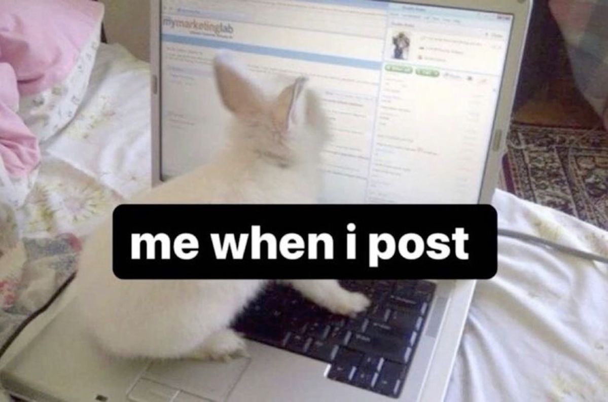 doll (@dollfault) on Twitter photo 