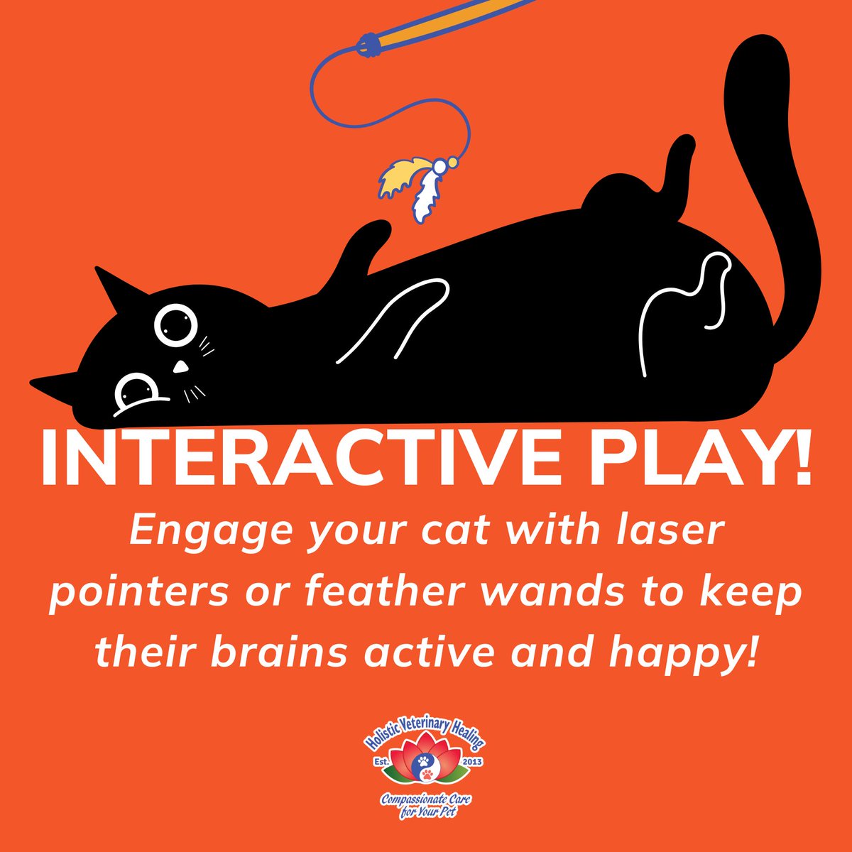 holvethealing's tweet image. Interactive play is key to mental stimulation! 🐱🧠 Engage your cat with laser pointers or feather wands to keep their brains active and happy. #TrainYourBrainDay #InteractivePlay #HappyPets