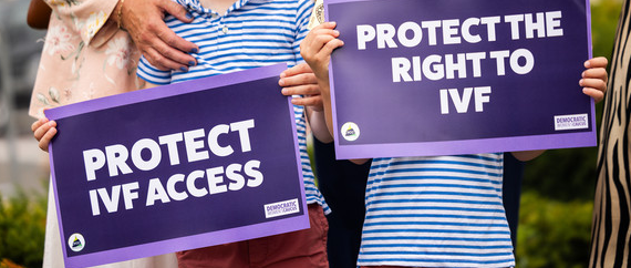 UCLAReproPolicy's tweet photo. Today, we released the second in a series of Election Impact Explainers. Today’s Explainer unpacks how this upcoming presidential election could affect a key issue in reproductive health care: access to in vitro fertilization (IVF).

➡️https://t.co/YBzVZMONqu⬅️ https://t.co/0QFzMfVJGF