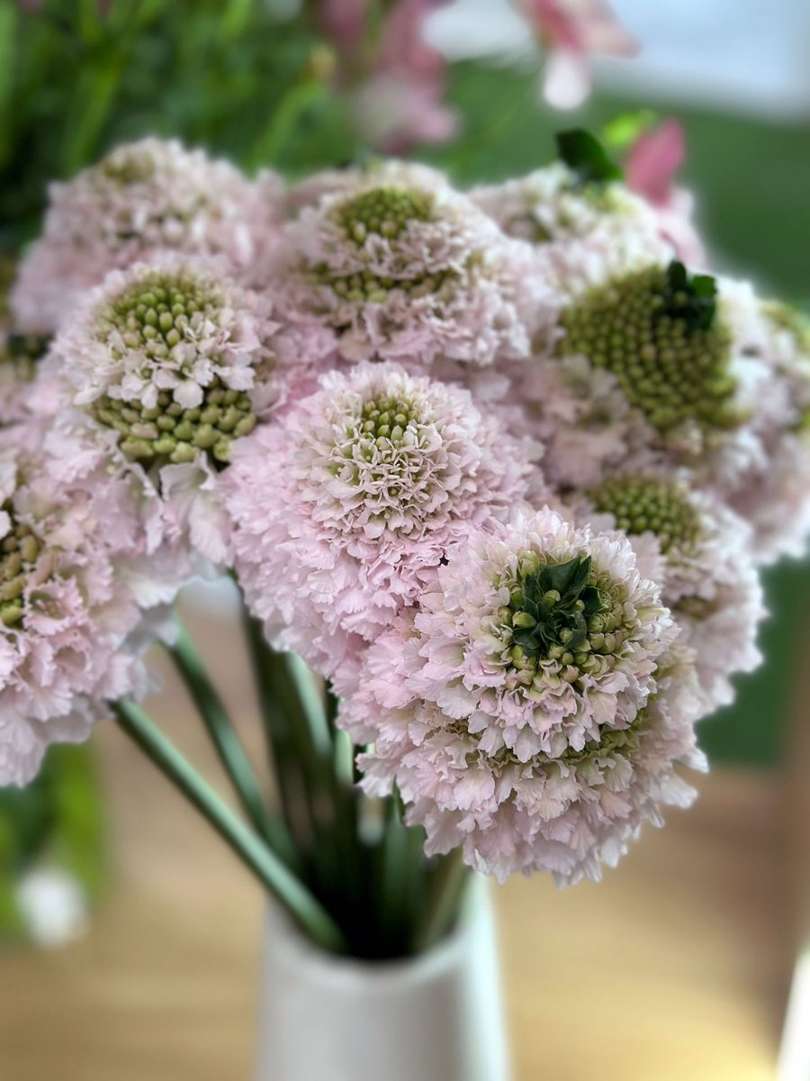 Expo Flor Ecuador 2024 is the meeting point for the producers of the best sustainable flowers, and entrepreneurs like you, who value the outstanding quality and unique beauty of Ecuadorian blossoms.

Meet solent team at Stand # G01