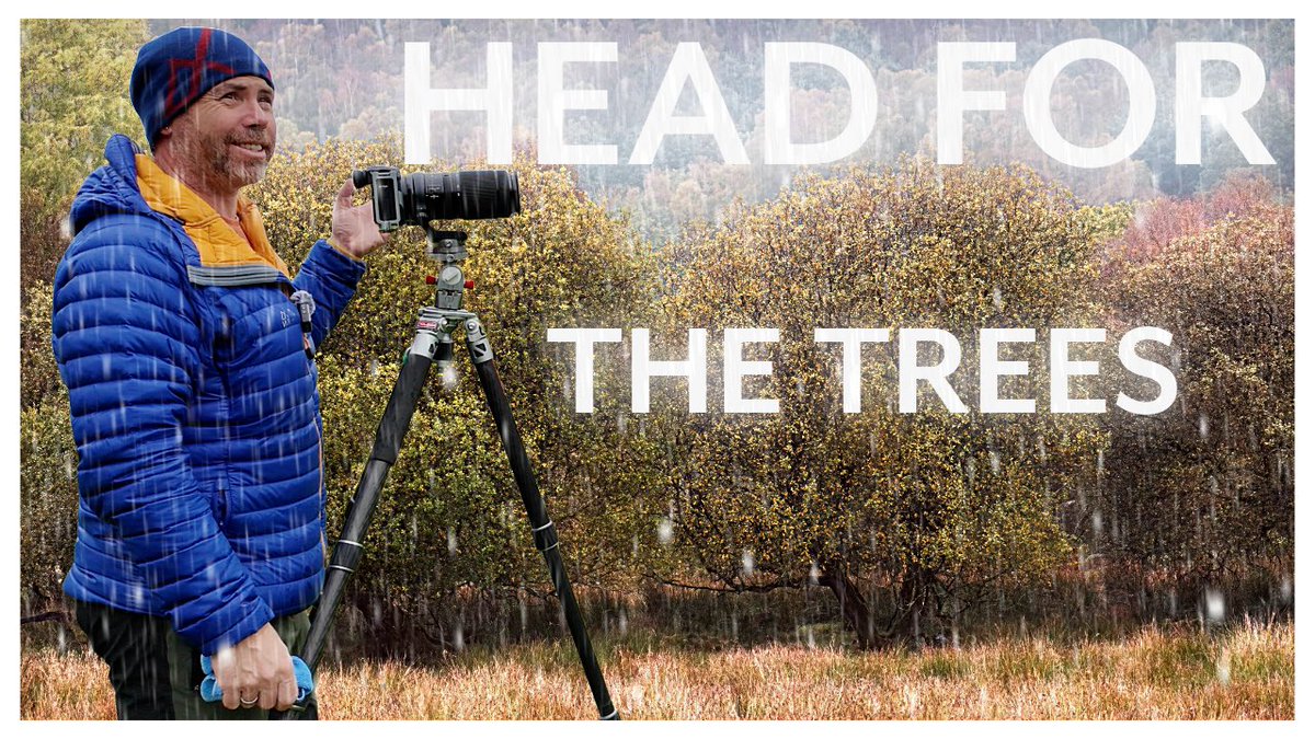 Capturing Rainy Day Magic: What Can I Photograph In The Rain? youtu.be/FkNA4l5spvI?si… via <a href="/YouTube/">YouTube</a>
#landscapephotography 
#nature #woodlands
