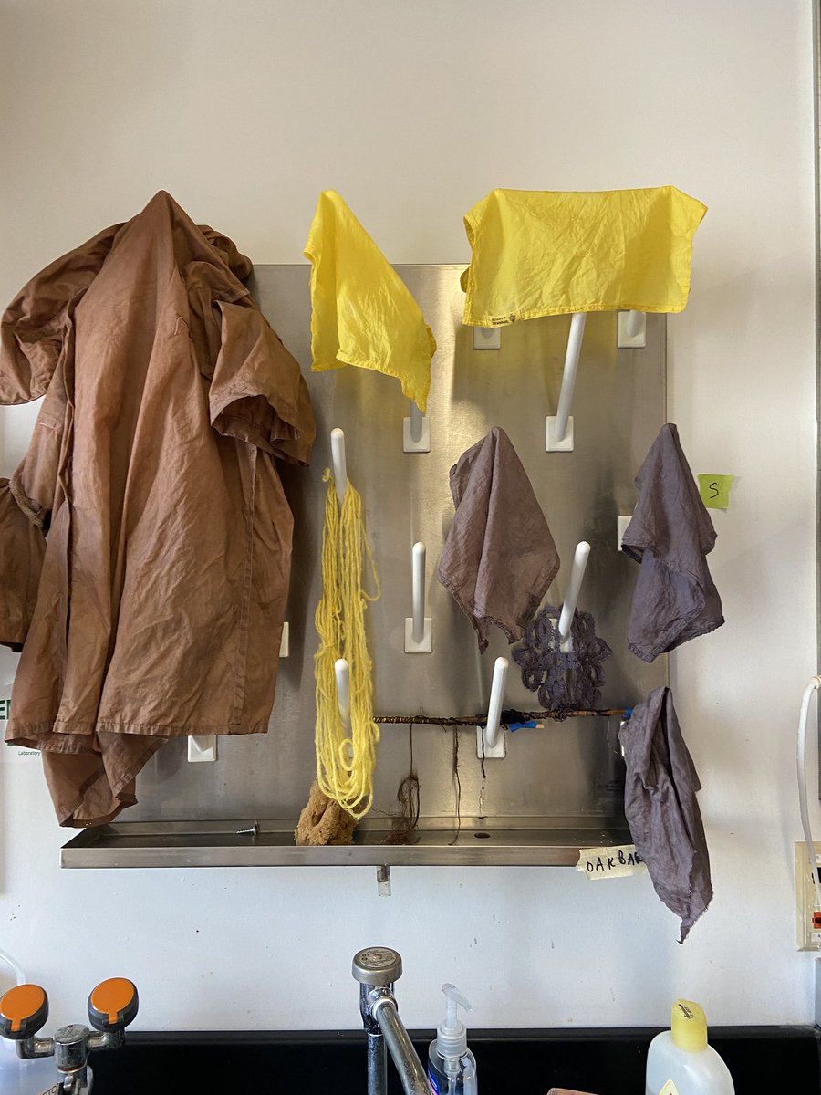 Center for Science and Society tweet media