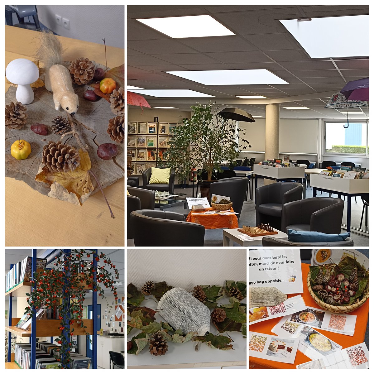 Ambiance... Le Centre de Ressources Documentaires de l'IRTS s'est paré de belles couleurs automnales. Une ambiance chaleureuse pour le plaisir de tous !