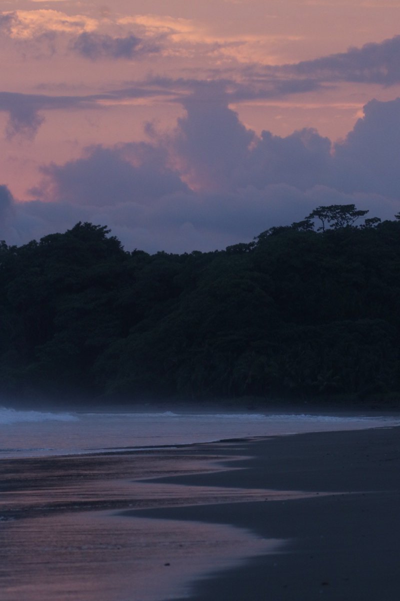 roselysgb's tweet photo. Señor @juancanavarro le presento Playa Morrillo, está ubicada en Mariato, Veraguas. Es de las mejores playas para el surf en Panamá. Esta siendo destruida ya que están vendiendo los manglares y se a quedado sin acceso. Salen muchas tortugas y nadie las cuida. ¡Haga algo! https://t.co/uSsdhd1fFT