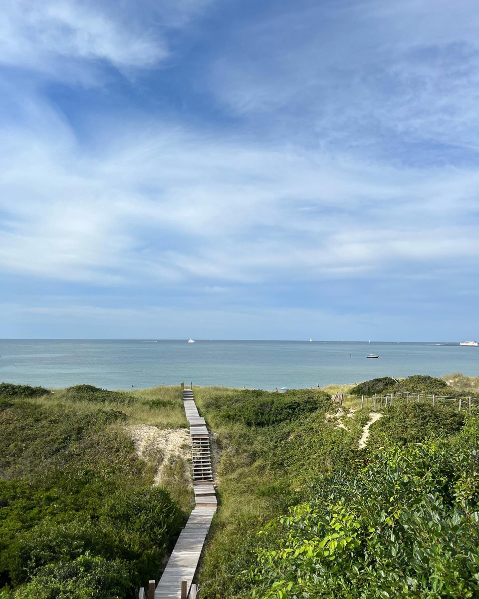 Angelina Wagner tweet media