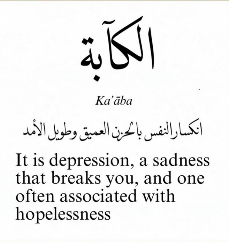 nadine khayat tweet media