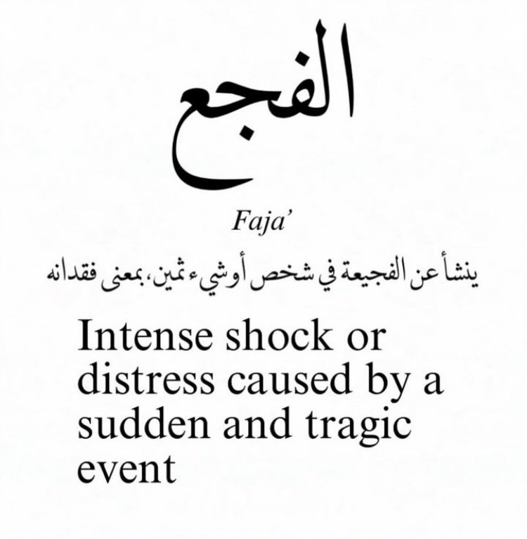 nadine khayat tweet media