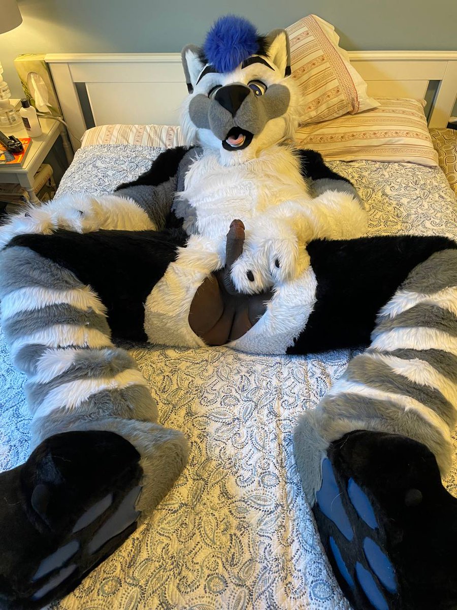 ColdK9AD tweet media