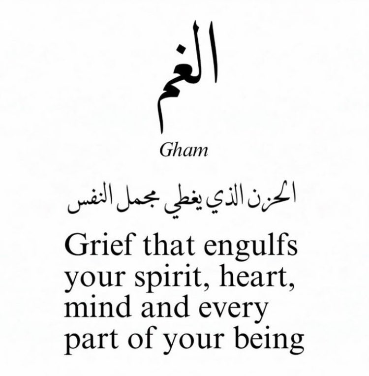 nadine khayat tweet media