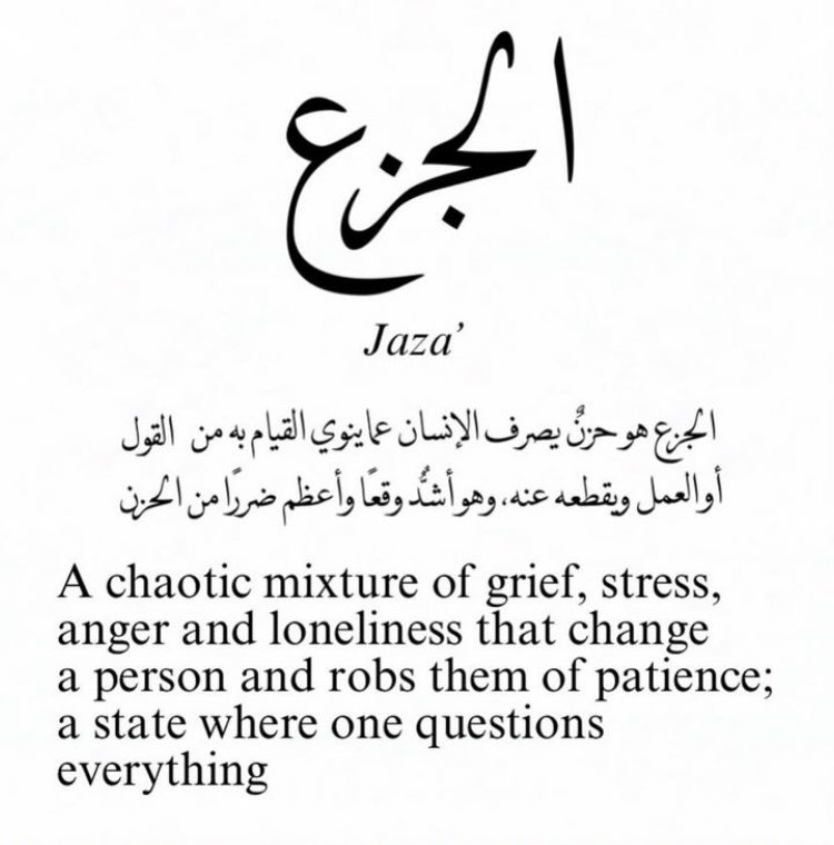 nadine khayat tweet media