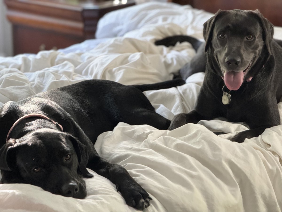 McCafferty Lab tweet media