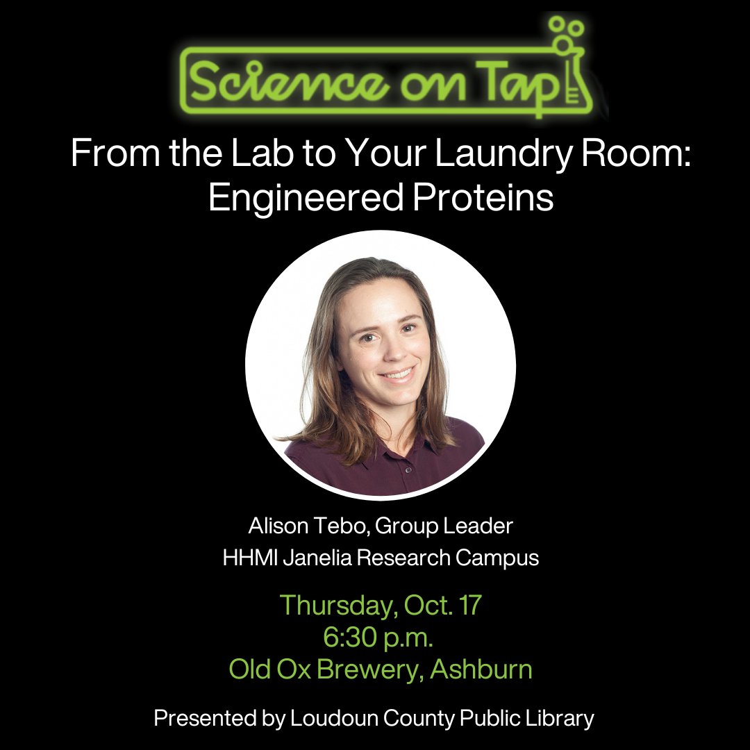 HHMIJanelia's tweet photo. ✨ Join Janelia Group Leader Alison Tebo (@agtebo) at #ScienceOnTap on Oct. 17 @OldOxBrewery, hosted by @LoudounLibrary.
🧪 Learn how protein engineering enhances everything from complex biochemical measurements in the laboratory to everyday laundry detergents. https://t.co/6LwJZUjGyt