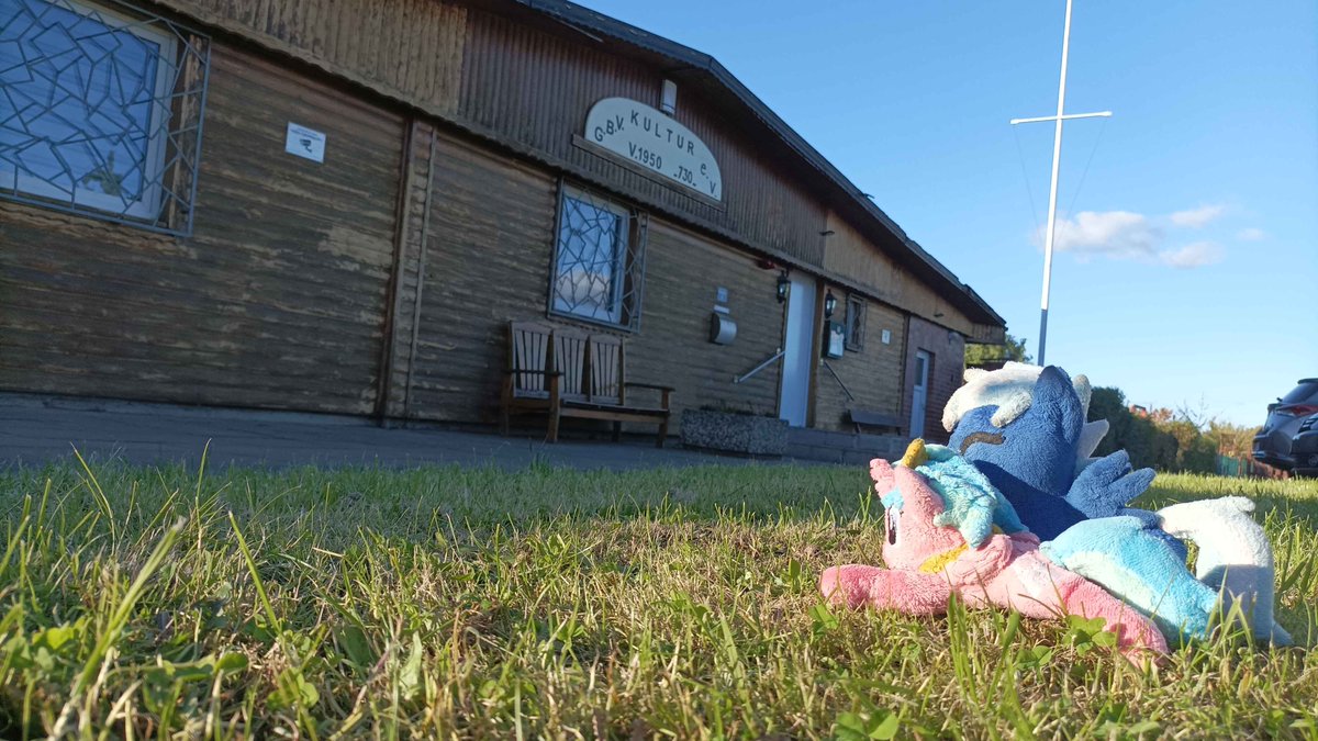 HammoniasHamburgEvents tweet media