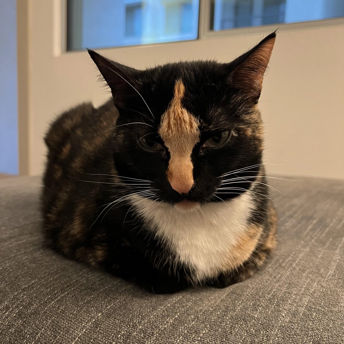 <a href="/daumeneth/">Daumen</a> C🖕T

73dhfmP6fJ9inveo4ufAuwqhKthCLuiiQ9gwsunApump