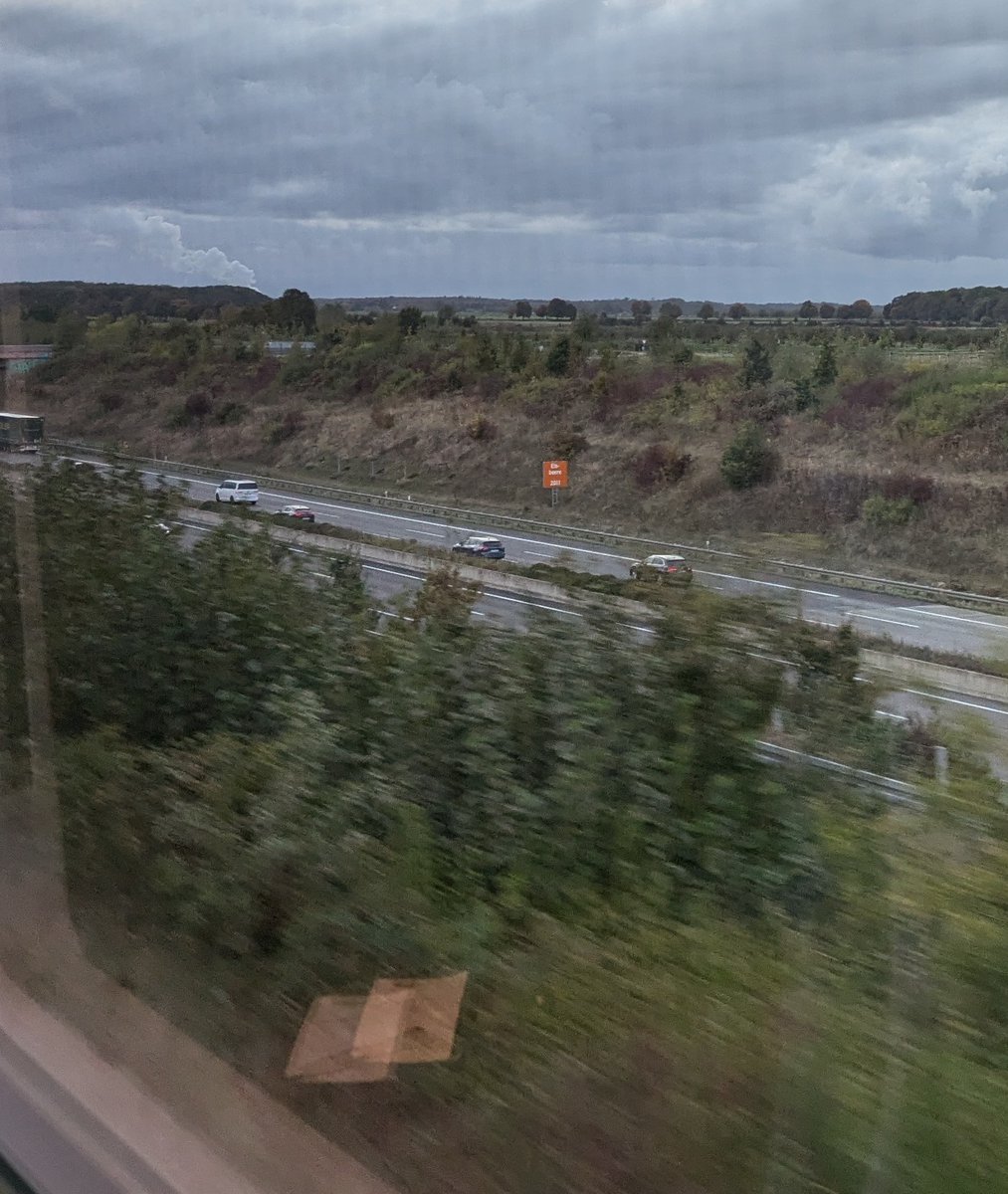 "Baum des Jahres"-Schilder auf der A4 - immer wieder weltklasse, bitte mehr davon!
#BaumdesJahres #A4