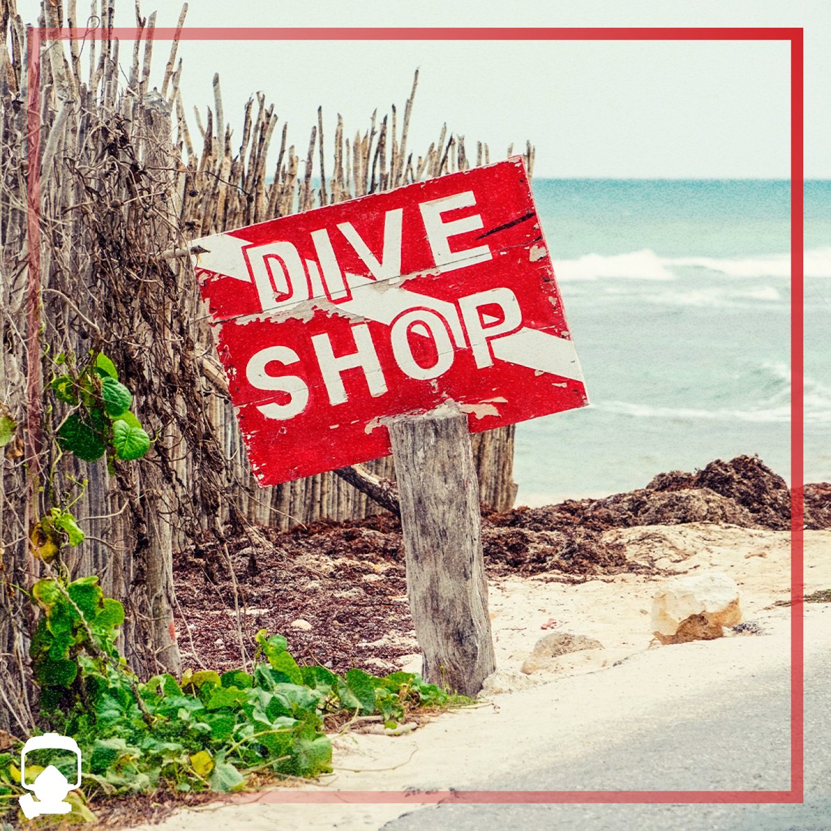 Interspiro_US's tweet photo. Dive Shops! Unlock a new realm of business opportunities with Interspiro US! Our Dealer Program is designed to enhance profitability, optimize operations, and reduce pricing. Dive into excellence today! 

https://t.co/QKokbffgyX https://t.co/dnEHaYorbw
