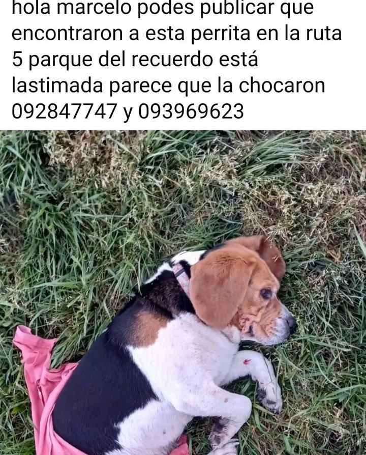 Compartan por favor 🙏🏼🙏🏼🙏🏼🙏🏼 
RT