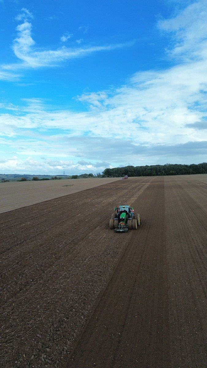 Dan Iles tweet media