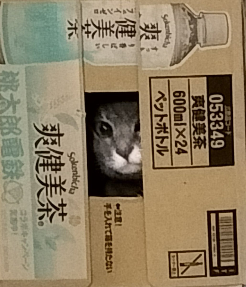 nyata_ly's tweet photo. 引越して一人部屋できたからこんな時間に音楽聴きながらスマホ見てても誰にも文句言われないの最高ヽ(=´▽`=)ﾉ https://t.co/MixJnl8Uys