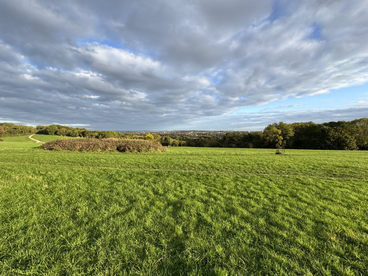 Cllr David Wilcox tweet media