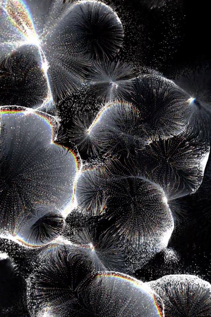 EphemeralEthernal (@ephemeralether1) on Twitter photo We collaborated with Iminente on a digital art project “Participação”, featuring installations from four artists: @laurenmoffatt8, <a href="/unidigrazz/">Unidigrazz</a>, @maotik and Sara Sadik. Come check them out at Iminente Takeover.
12-13 October - Jardim do Museu de Lisboa
#EphemeralEthernal We collaborated with Iminente on a digital art project “Participação”, featuring installations from four artists: @laurenmoffatt8, <a href="/unidigrazz/">Unidigrazz</a>, @maotik and Sara Sadik. Come check them out at Iminente Takeover.
12-13 October - Jardim do Museu de Lisboa
#EphemeralEthernal