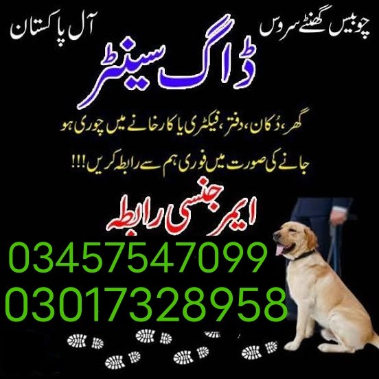 DogCenter's tweet photo. @DogCenter https://t.co/otxbictv9N