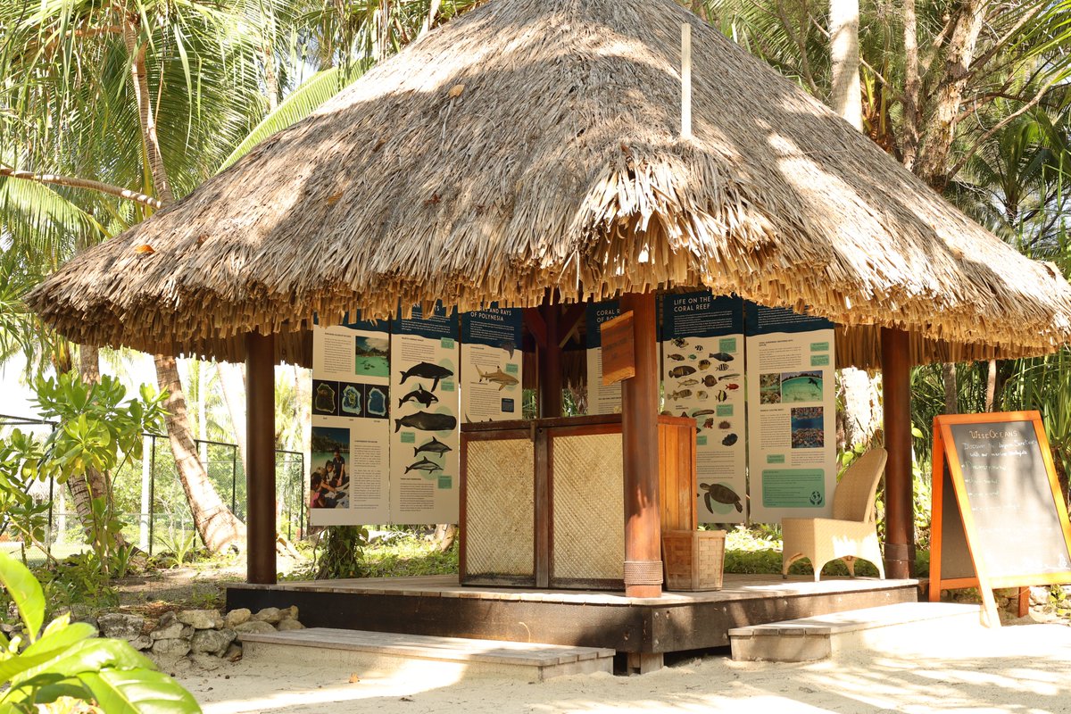 WiseOceans's tweet photo. This week's Discovery highlight is an exciting reveal! 🎉

We are overjoyed to show you our brand new information boards at @FSBoraBora

Thanks to our amazing illustrator, Under The Sea Art, our designer Lola Graphiste, and our printing company Matuvu Tahiti

#wiseoceansdiscovery https://t.co/FkjUGYyo2U