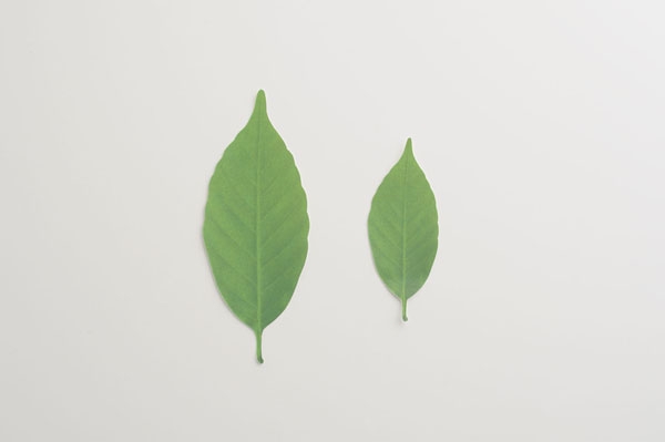 i_______DESIGN's tweet image. 数値ではなく四季のような色の移ろいで感覚的に温度を感じられる、葉っぱの温度計。
Leaf(リーフ)　|　h concept(アッシュコンセプト), 熊谷 英之　|　328r