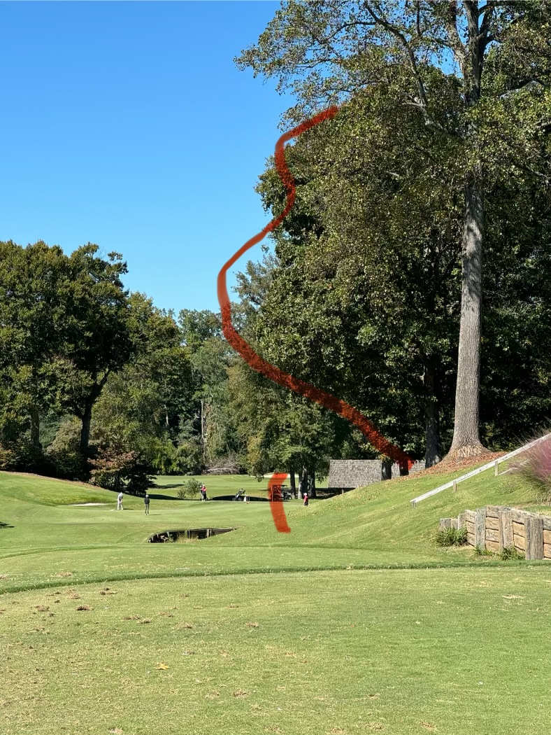 Bryan Bigley News tweet media