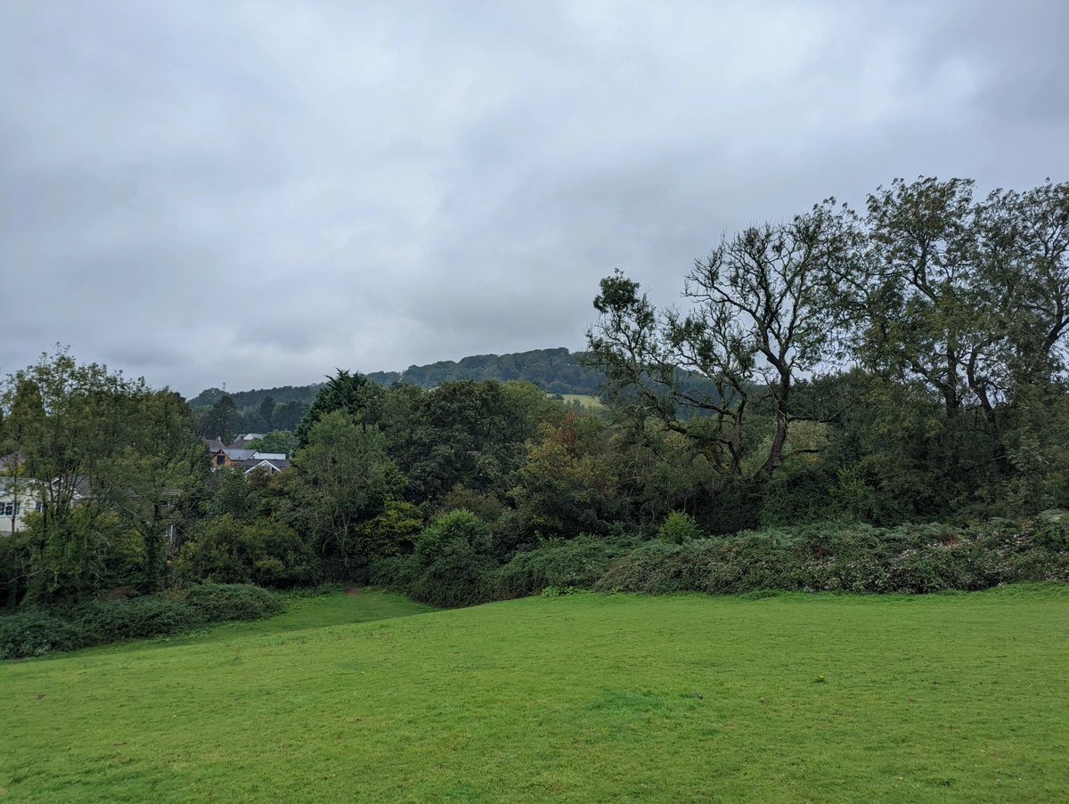 Following Rhydwaedlyd and Whitchurch Brook through Rhiwbina for a peek at our natural history: 
rhiwbina.info/post/tramping-… #rhiwbina #whitchurchcardiff #cardiff