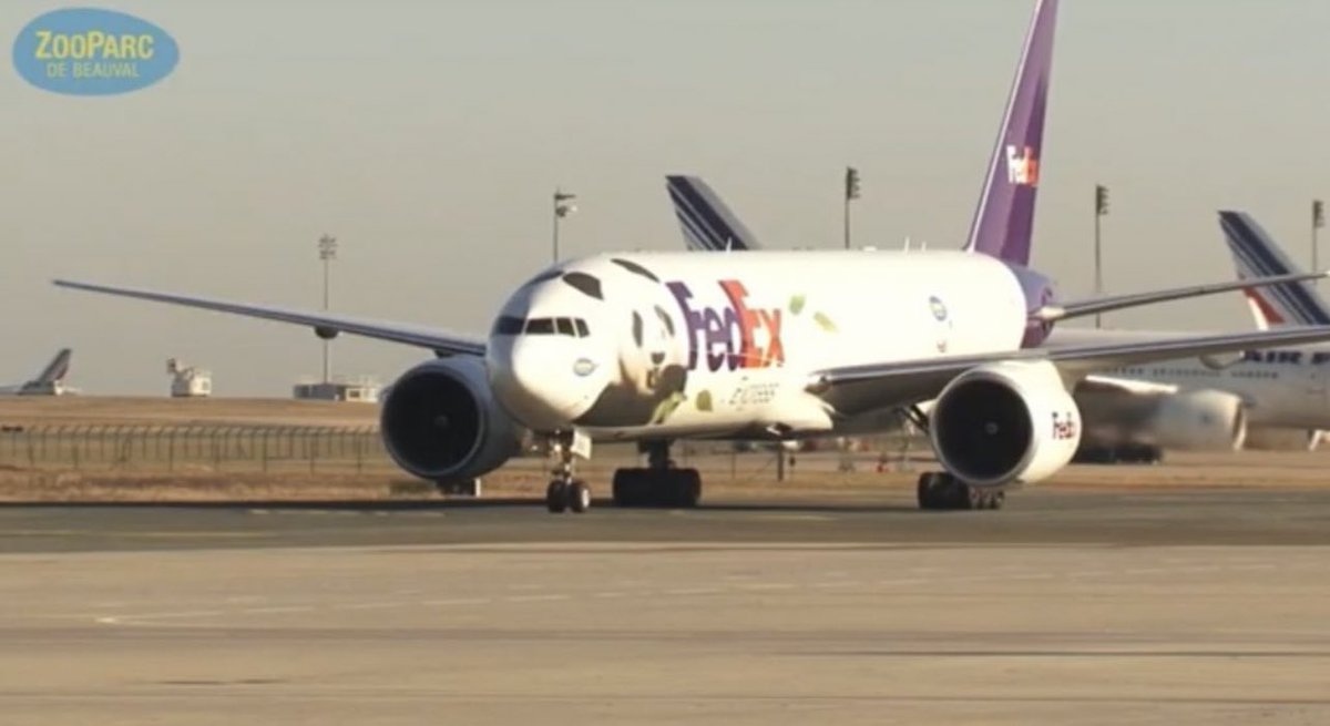 mickeyminnie611's tweet photo. #FedExPandaExpress ②
❺Jan.15,2012 CTU/CDG
YuanZi&HuanHuan
❻Mar.25,2013 CTU/YVR/YYZ
ErShun&DaMao
❼Feb.21,2017 IAD/CTU transatlantic flight
BaoBao
❽Nov.19,2019 IAD/CTU transatlantic flight
BeiBei
cr. ❺ZooParcdeBeauval/❻NTDonChina/❼FedEx❽FedEx https://t.co/OjQ7GX37Cu