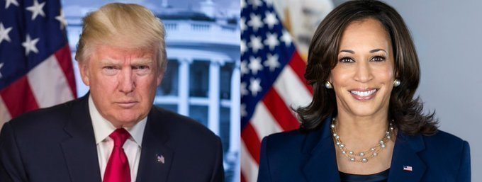 InteractivePolls tweet media