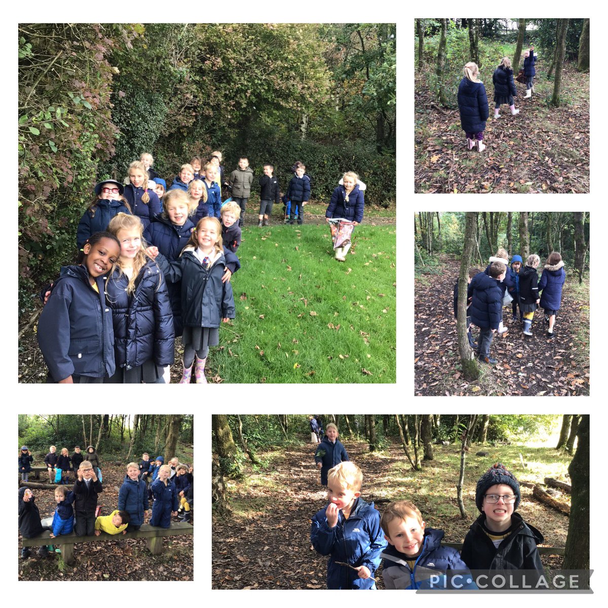 In DT, the children practised their cutting, peeling and juicing skills when making a healthy flapjack for Goldilocks and the Three Bears. This afternoon, we enjoyed an autumnal walk in the Children’s Woods.  🍂 🌳 ☀️ <a href="/HollyMountBury/">Holly Mount RC Primary</a> #helloyellow