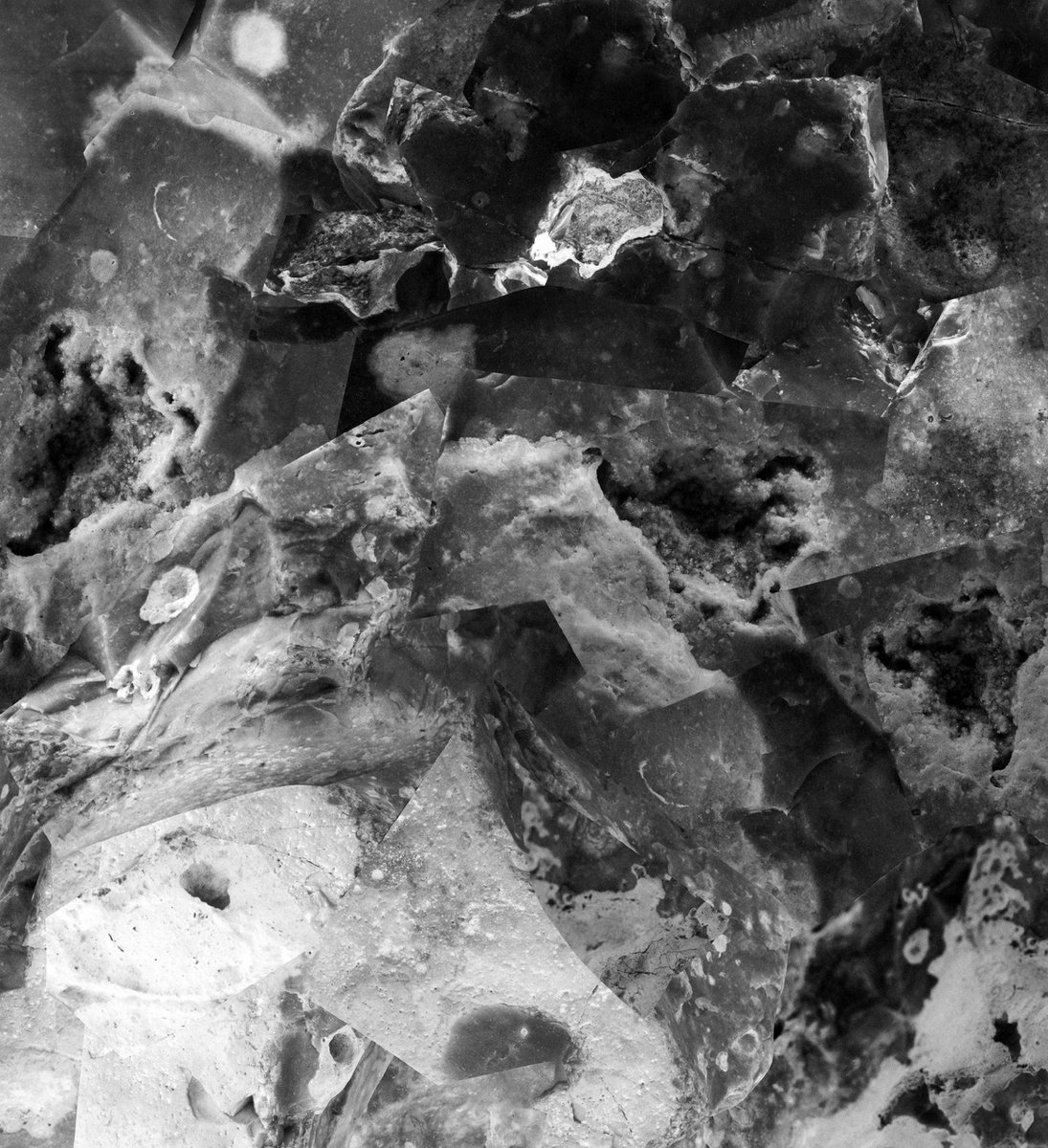 Red Head Gallery tweet media