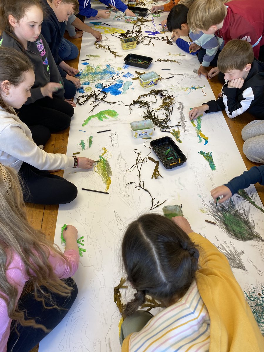 St. Joseph's N.S. tweet media