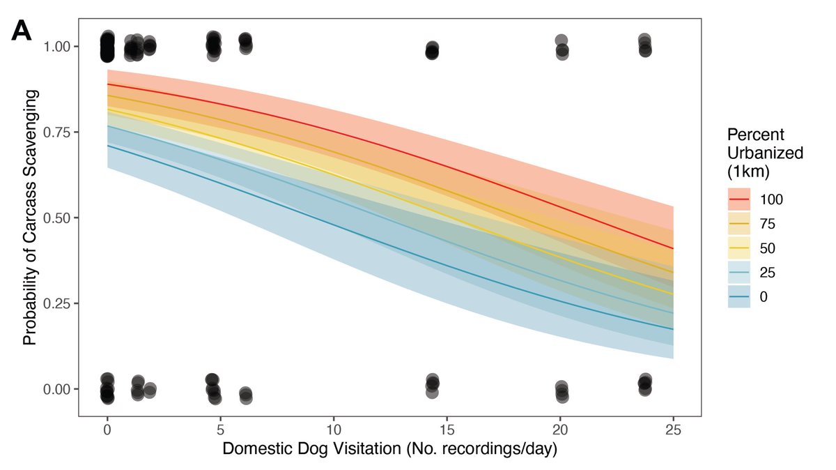 Frankie Gerraty tweet media