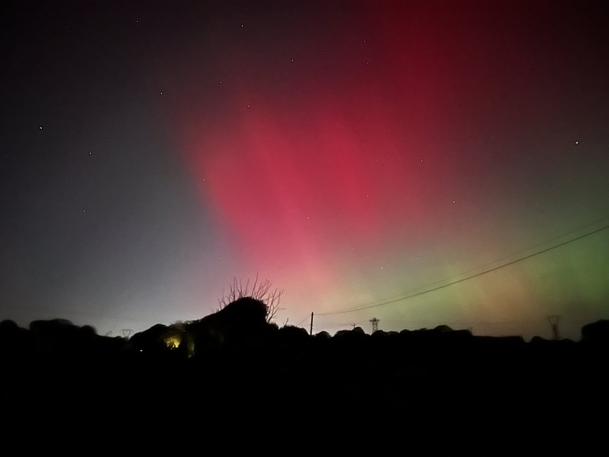 Peter Coppinger 🇺🇦 tweet media