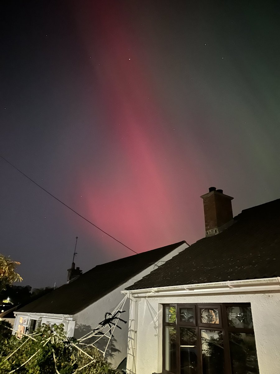 Stephanie Foster Black tweet media