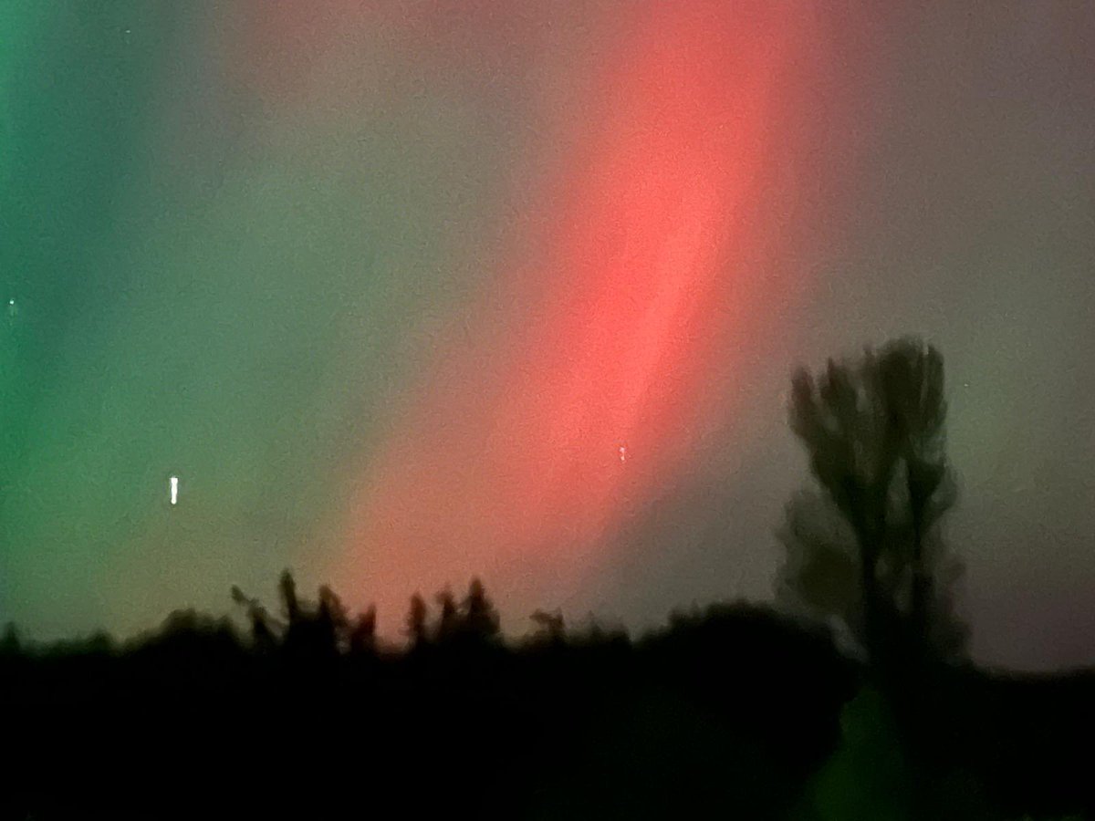 David Kelly tweet media