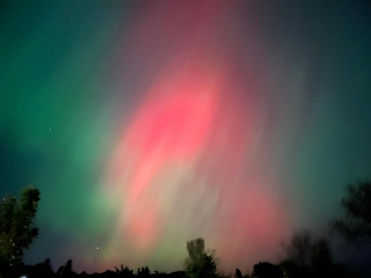 David Kelly tweet media