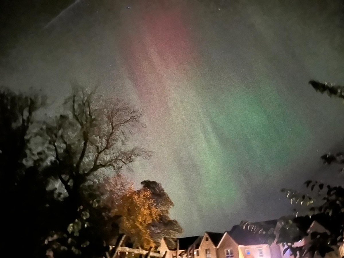 David Kelly tweet media